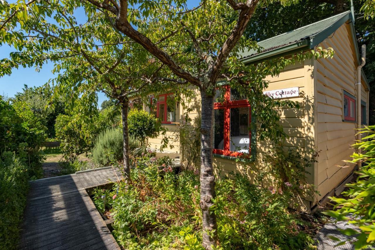 Shy Cottage And Studio 그레이타운 외부 사진